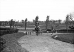 kennels12