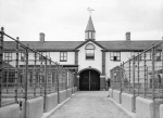 kennels4