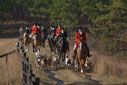 20120314211346 edisto11sm