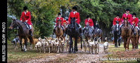 http://www.foxhuntinglife.com/images/resized/images/topphoto/bellemeade_2014_466_211.jpg
