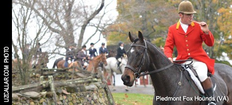 http://www.foxhuntinglife.com/images/resized/images/topphoto/piedmont_2014_466_211.jpg