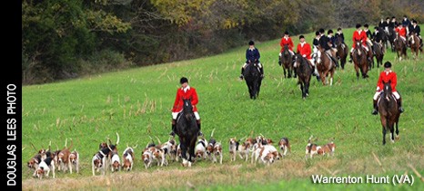 http://www.foxhuntinglife.com/images/resized/images/topphoto/warrenton2014_466_211.jpg