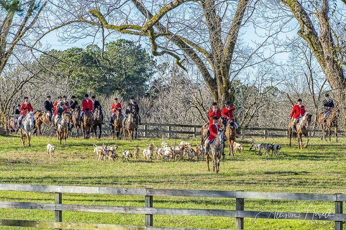 BMHpt2020.staffhounds.howell