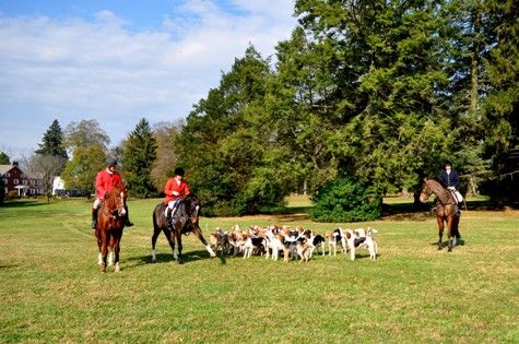 Cheshire Hon Whip Paddy Neilson Huntsman Ivan Dowling Prof Whip Stephanie Boyer at Brooklawn