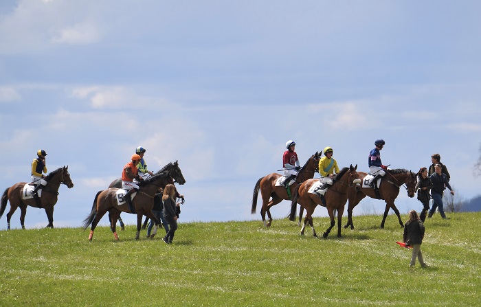 odhptp22.maiden hurdle1