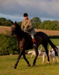 Huntsman Neil Coleman and the Cottesmore foxhounds