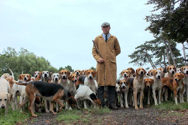 Woodland Pytchley Hounds