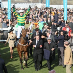 Binocular â€“ last yearâ€™s Champion Hurdle winner trained by Nicky Henderson, who trains for HM The Queen, and ridden by the Champion Jockey AP McCoy