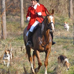 Elkridge-Harford/Green Spring Joint Meet Dec. '12: Geoffrey Hyde, huntsman of Elkridge-Harford hounds;