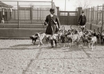 Huntsman Charlie Carver with hounds (foreground); Joseph B. Thomas, MFH (rear)