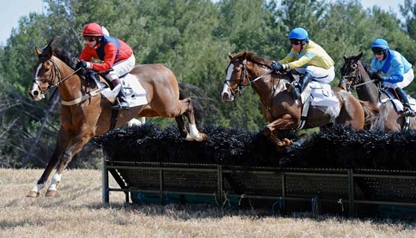 (l-r) Red Ghost (Carl Rafter up), first; New Mambo (Matt McCarron up), fourth; and Dakota Slew (Robert Walsh up), second in the Maiden Hurdle race