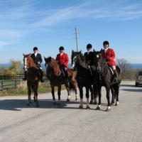 Article images - Toronto and North York Hunt Junior Hunt 2011