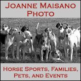 Joanne Maisano photos