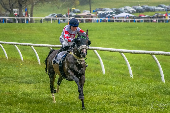 MH P2P Race 2