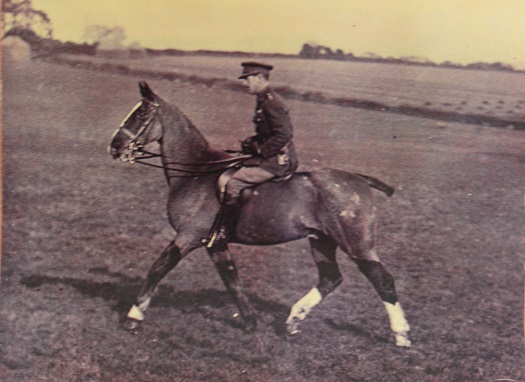 War Horse Gladeye  Brigadier Walter Brooke