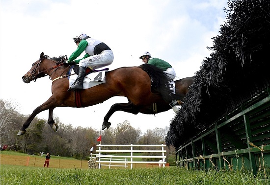 odh16.open hurdle