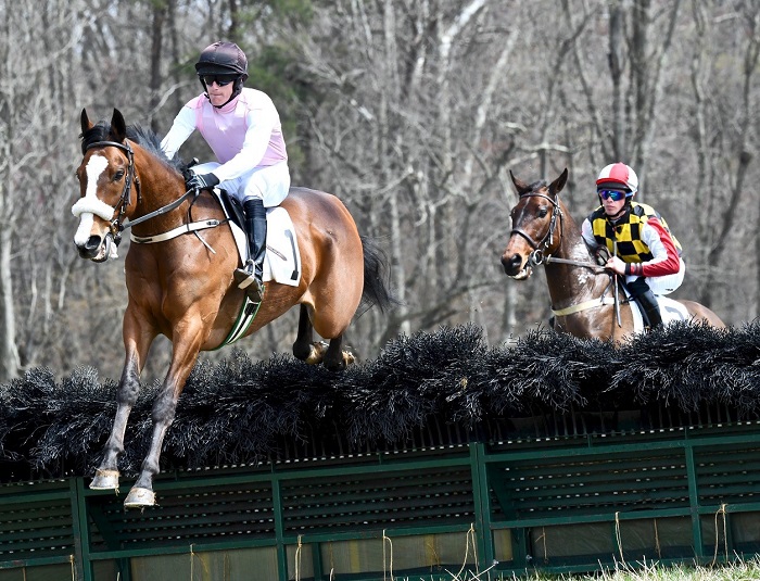 odh19.maiden hurdle