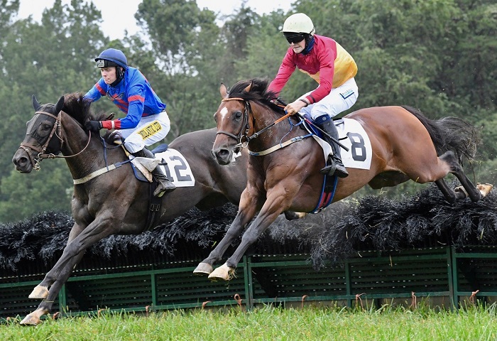 odh20.maiden hurdle 1