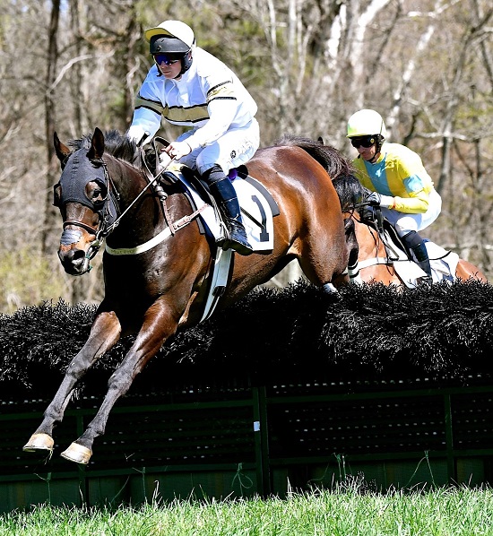 odhptp17.open hurdle