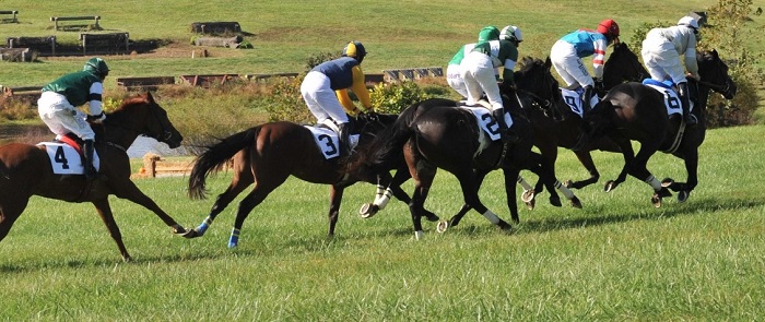 races.generic