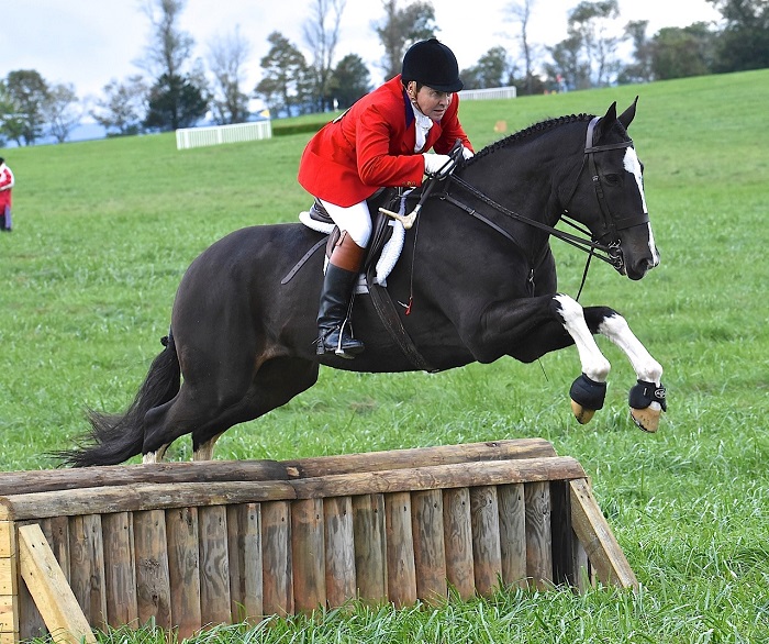 trfhc18.wittenborn.lees