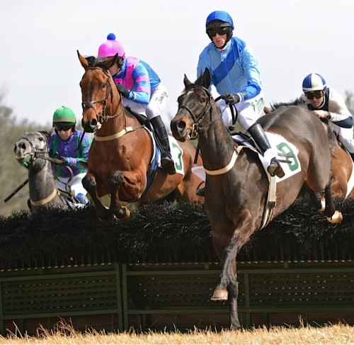 warrentonptp.13.open hurdle