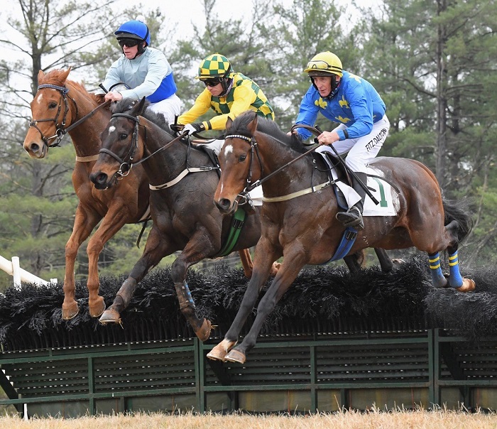 warrentonptp2.2021.openhurdle.lees