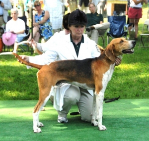 brazos valley mystic
