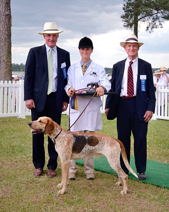 carolinas15.david traxler