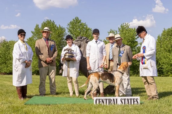 central states 22 grand champion of show
