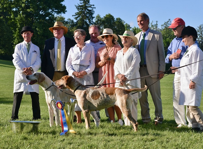 hillsboro ringo wagtail and people
