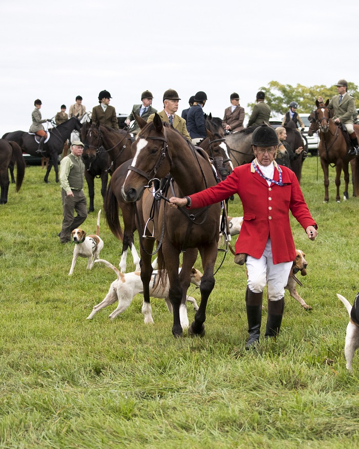 hound trials.brh.epp.maisano