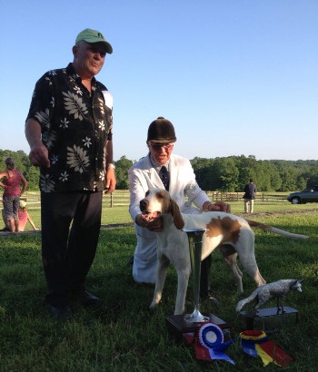 potomac dapper.wenzel