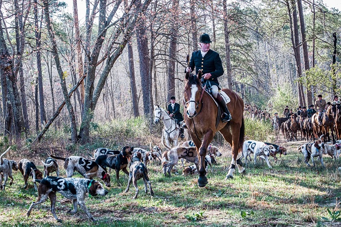 ptchamp22.leahy and hounds
