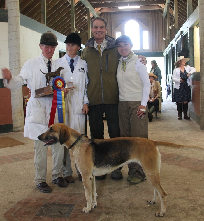 southern18.walnu.shepherd