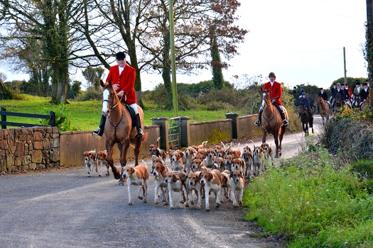 Galway Blazers huntsman Tom Dempsey and whip Anthony Costello hack home with the Bitch Pack after a cracking days hunting in Craughwell