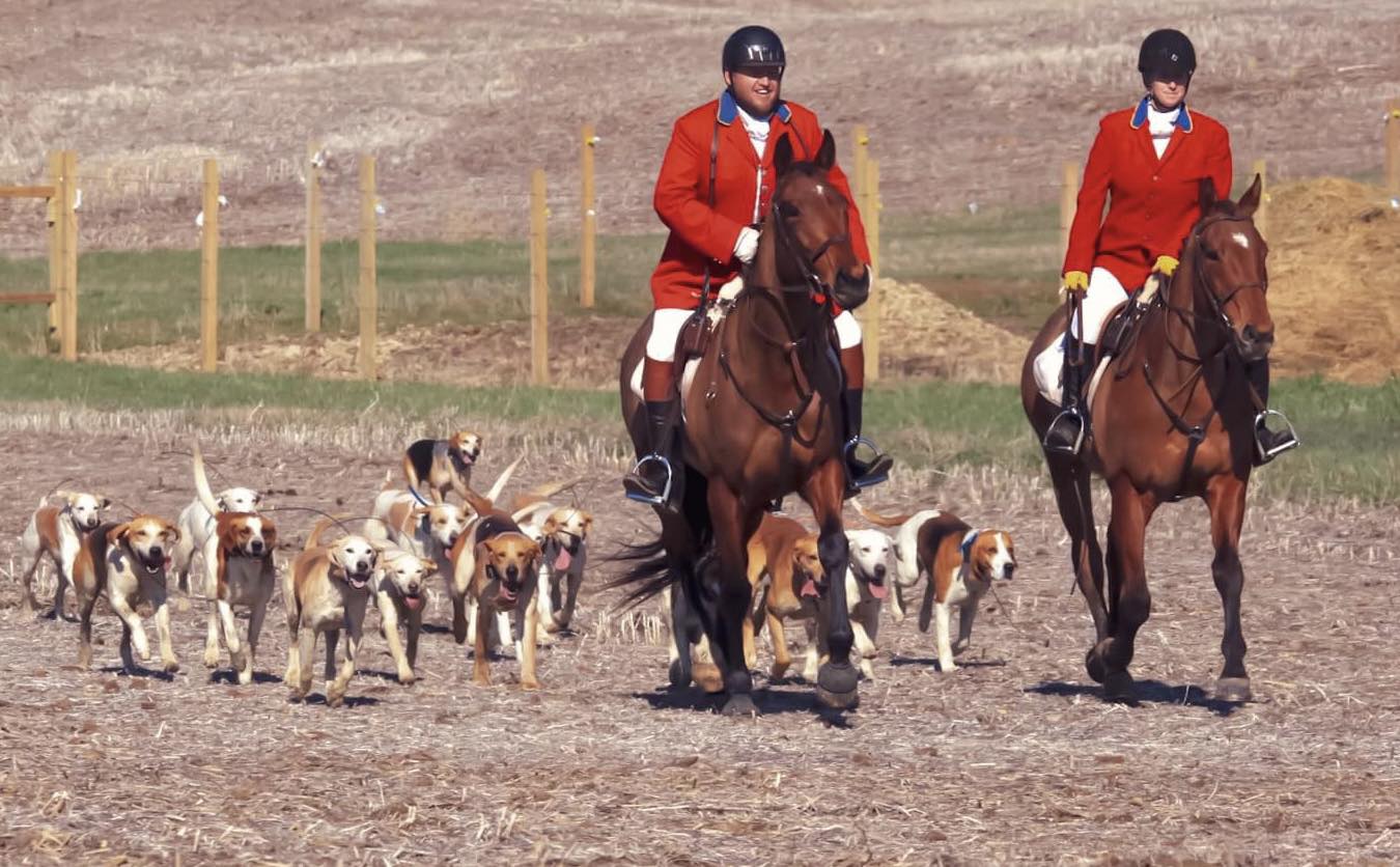 NHH Dude and Bre Kruger hacking the hounds back to the meet Photo by Traci Duckworth