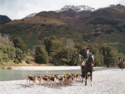 central otago hunt.nz