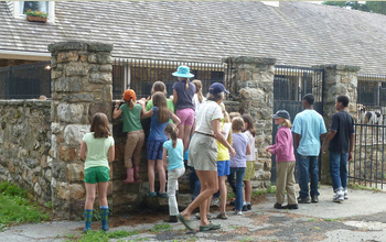 cheshire_juniors