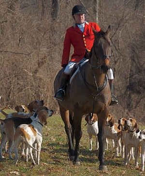 joe cassidy.radnor.diana rowland