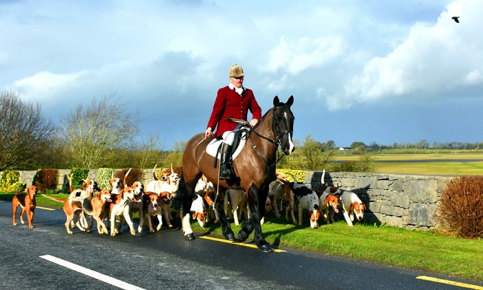 north galway huntsman David Masterman