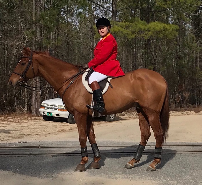 susan provenzano and Gulliver