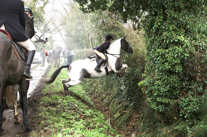 wards.kacey lou jump.power