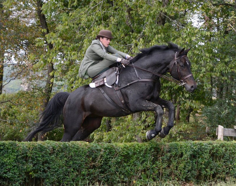TAR Devon z hedge Liz Callar photo permission via call