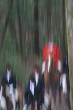 blurry hunt photo