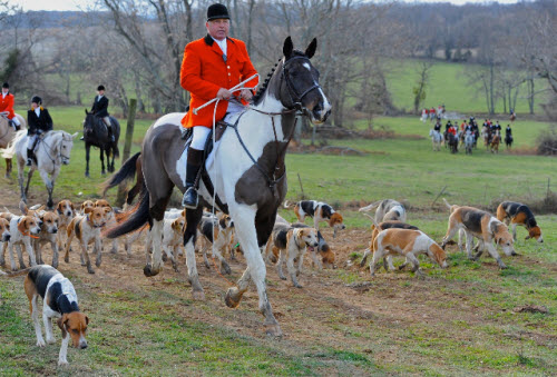 marynandhounds