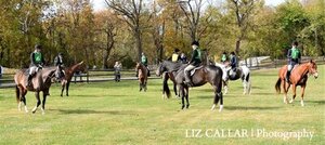 rsz 3virginia field hunter championships photo by liz caller permission via fb