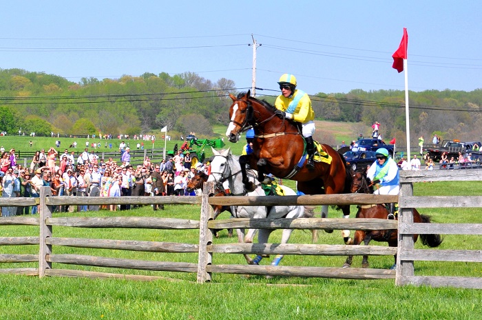  Mark Beecher riding the winner Professor Maxwell of the Maryland Hunt Cup without stirrups over 13th Fence which is 4 foot 9 inches