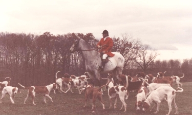 Nick and the hounds