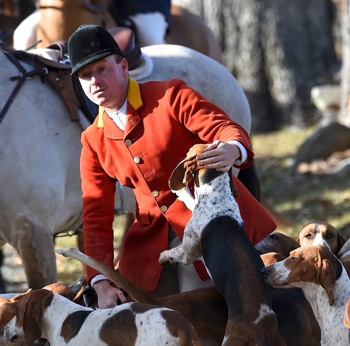 amatt and hounds